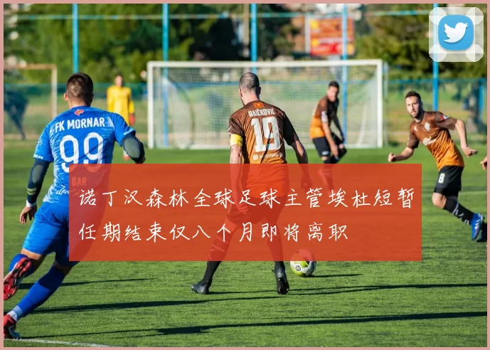 诺丁汉森林全球足球主管埃杜短暂任期结束仅八个月即将离职